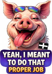 YEAH I MENT TO DO THAT PROPER JOB - PIG