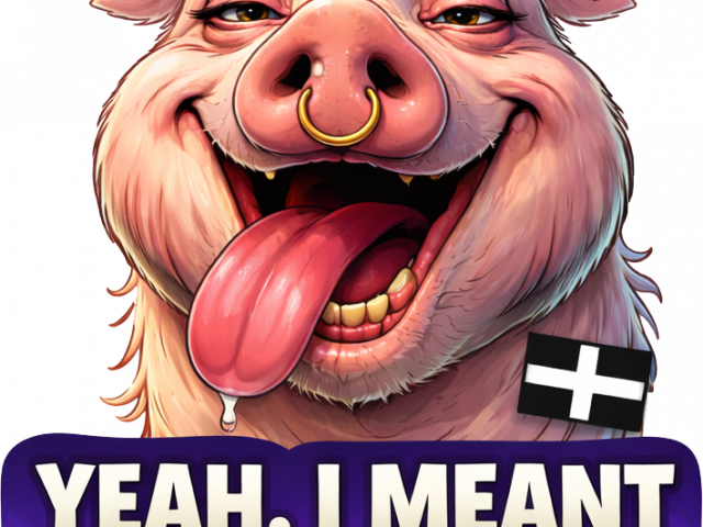 YEAH I MENT TO DO THAT PROPER JOB - PIG