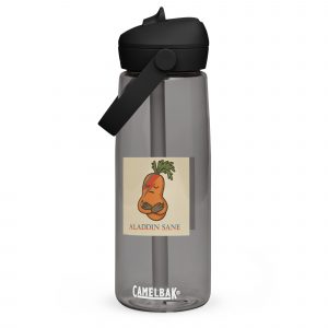 Aladdin Sane Carrot Parody Water Bottle – Flip Straw Water Bottle charcoal front — Snack Tracks - The Ultimate Parody Album Collection