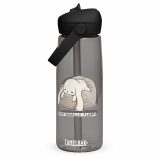 Emotionally Floppy – Flip Straw Water Bottle charcoal front — The Floppy Collection